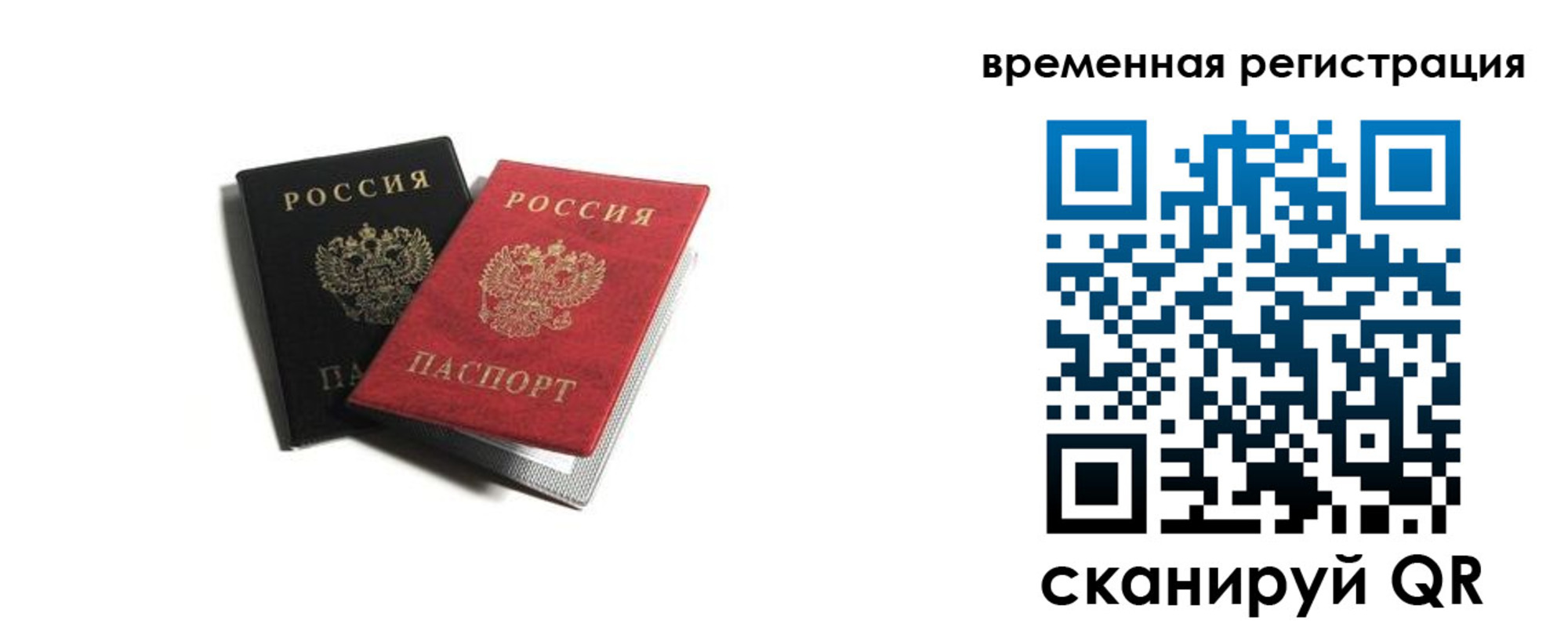 прописка в квартире в Чкаловске